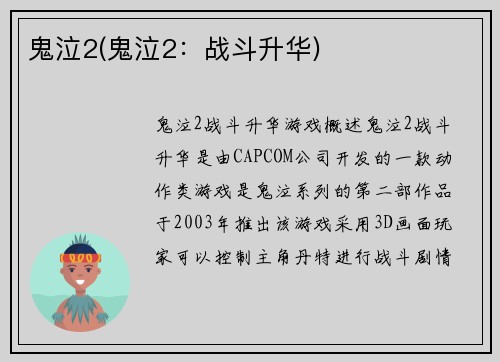 鬼泣2(鬼泣2：战斗升华)